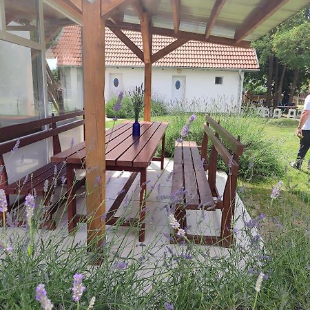 Mirella Rooms Palić エクステリア 写真